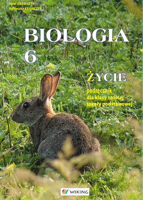 Szkoła Podstawowa